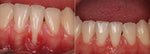 BeeTakt Oral Repair Solution
