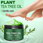 Aloe Vera and Tea Tree Foot Moisturizer