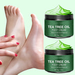 Aloe Vera and Tea Tree Foot Moisturizer