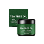 Aloe Vera and Tea Tree Foot Moisturizer
