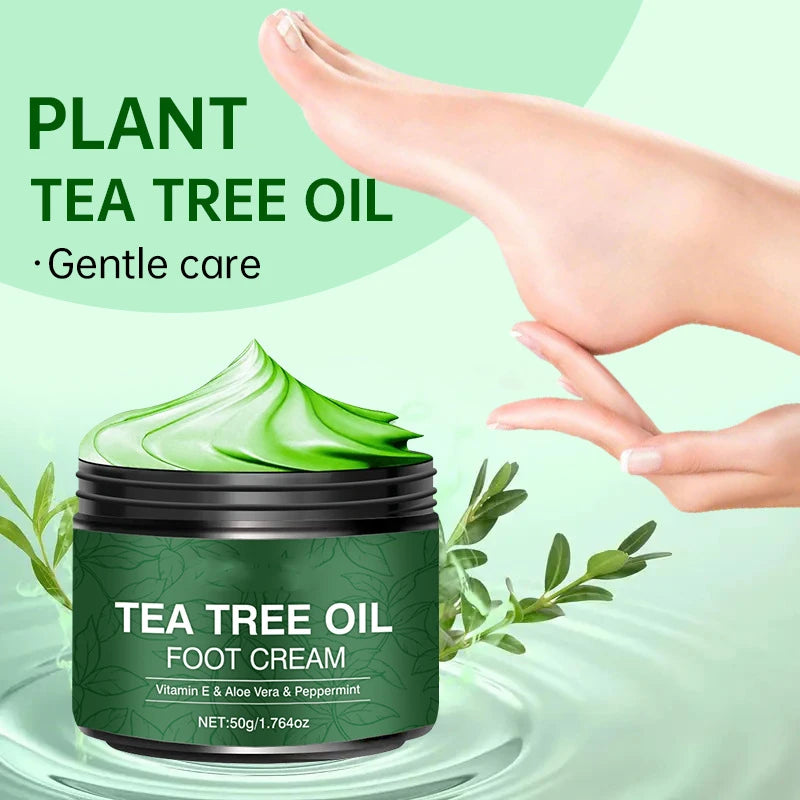 Aloe Vera and Tea Tree Foot Moisturizer