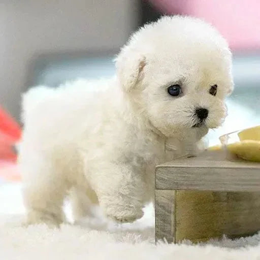 Smart Buddy – Interactive Puppy Robot